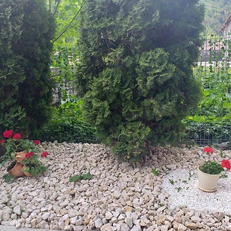 Miraj Ξενοδοχείο Azuga Εξωτερικό φωτογραφία